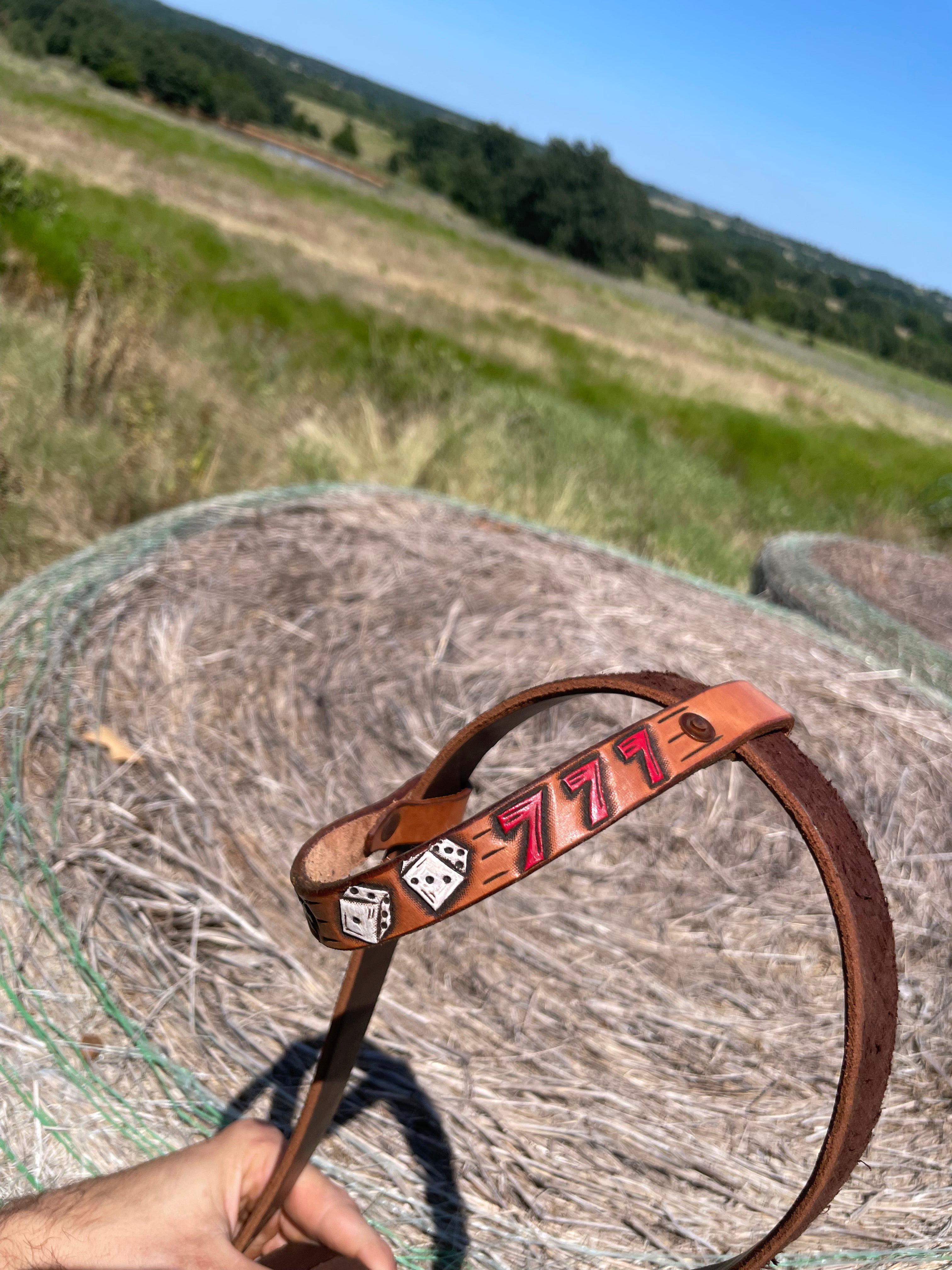 Loop ear headstall