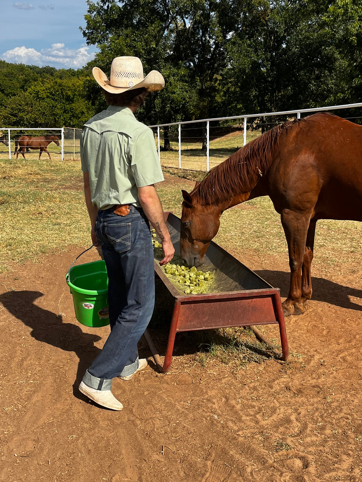 Slick Pearl Snap SS Sage
